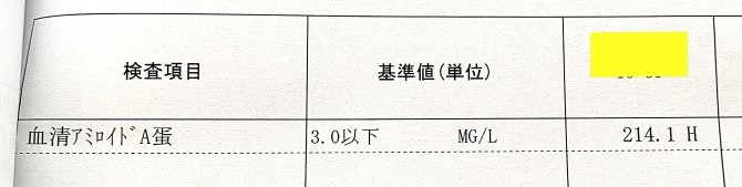 saa214.1の検査結果画像