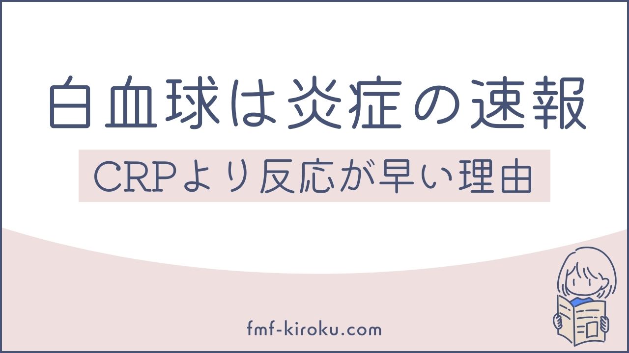 なぜ白血球はCRPより先に上がるのか？｜発熱時と平常時の比較から見る「体の中の防衛システム」 - のアイキャッチ画像