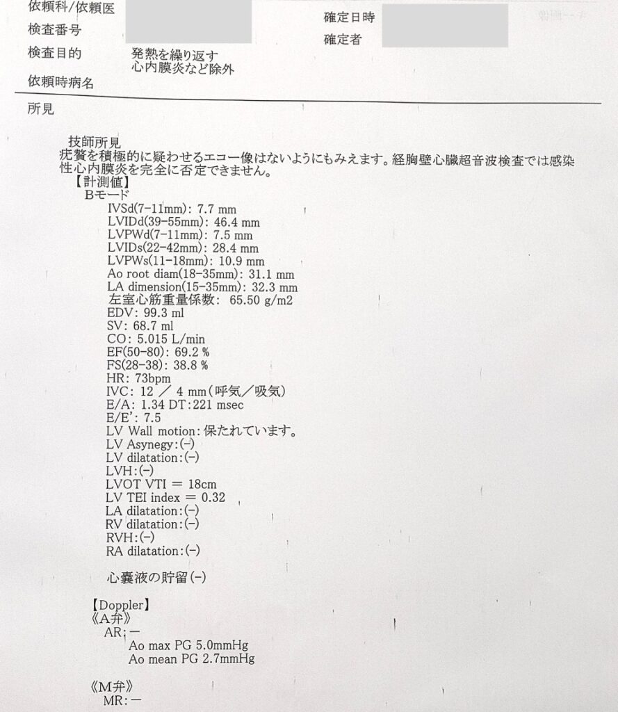 心臓エコー検査結果1