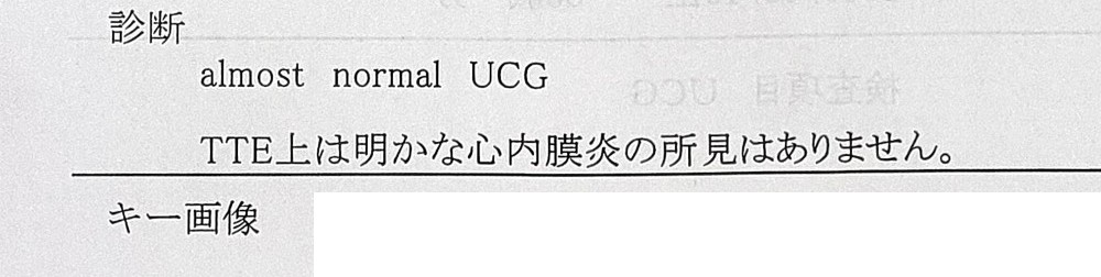 心臓エコー検査結果2